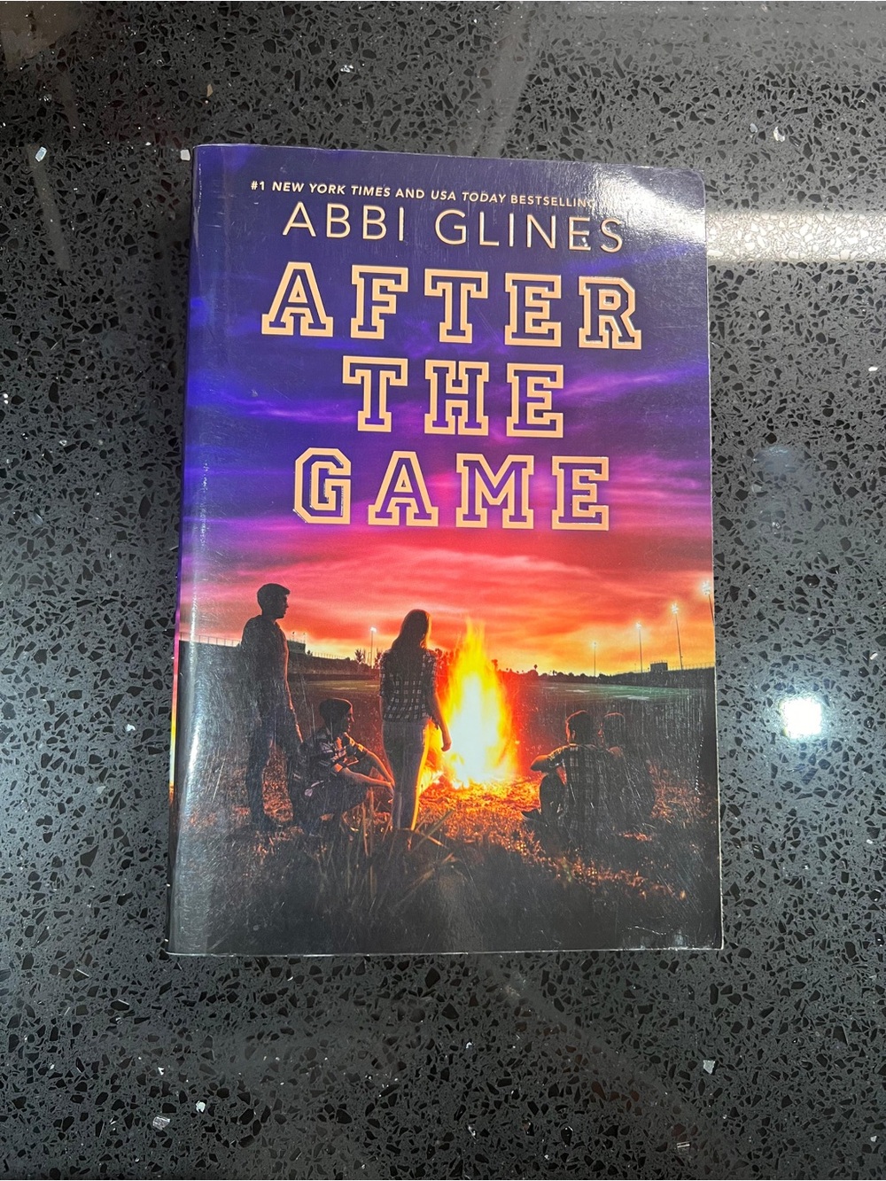 After the Game by Abbi Glines Book